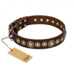 "Ancient Warrior" FDT Artisan Fancy Leather American Bulldog Collar with Old-Bronze Plated Decorations