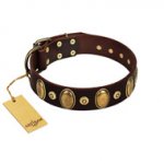 "Retro Pusle" FDT Artisan Brown Leather American Bulldog Collar with Old Bronze-like Studs and Oval Brooches