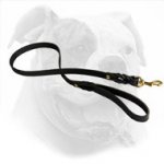 American Bulldog Leash Made of Durable Leather