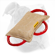 American Bulldog Bite Pillow Made of Jute