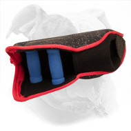 Training Dog Bite Builder for American Bulldog Puppy