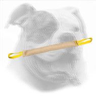 Puppy Dog Bite Tug for American Bulldog