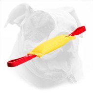 Training Dog Bite Tug for American Bulldog