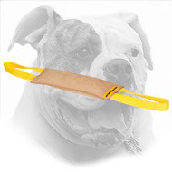 American Bulldog Bite Tug for Bite Training