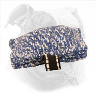 Training Puppy Bite Tug for American Bulldog