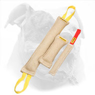 3 Jute Bite Tugs in One Training Set for American Bulldog