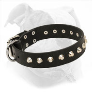 Decorated Leather Dog Collar for American Bulldog