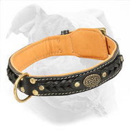 Adjustable American Bulldog Collar Made of Leather