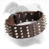 American Bulldog Leather Collar with Spikes and Studs