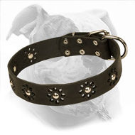 "Elegant Flower" Leather Dog Collar for American Bulldog