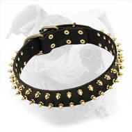 "Unveiled Luxury" Spiked Leather Dog Collar for American Bulldog