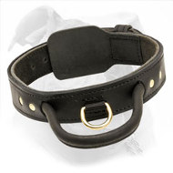 2 Ply Leather Dog Collar for American Bulldog