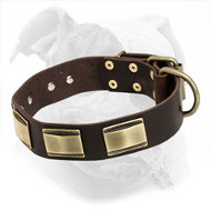 Decorated Leather Dog Collar for American Bulldog