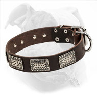 Leather American Bulldog Collar Made in "Rococo Style"