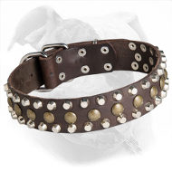Leather American Bulldog Collar with Studs and Pyramids