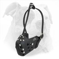 American Bulldog Leather Muzzle for Agitation Training