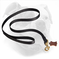 All Weather Nylon Dog Leash for American Bulldog