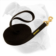 Strong Long Nylon Dog Leash for American Bulldog