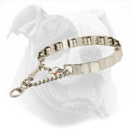 Neck Tech Pinch Prong Dog Collar for American Bulldog Training