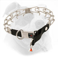 American Bulldog Pinch Prong Collar with Click Lock Buckle and Nylon Loop