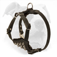 Spiked Leather Dog Harness for American Bulldog Puppy