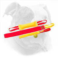 Training Set of Bite Tugs for American Bulldog Puppy + Gift for Free