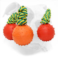 American Bulldog Rubber Ball for Dog Training