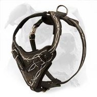 Hand Painted Attack Training Harness for American Bulldog - No Rubbing Choice