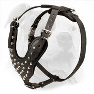 American Bulldog Studded Leather Dog Harness with Pyramids
