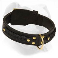 Hand Made Leather Braided Collar for Training and Walking American Bulldog