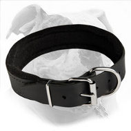 Super Soft and Gentle Leather Dog Collar Padded with Felt for Comfortable American Bulldog Training