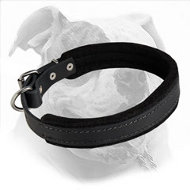 Elegant Felt Padded Leather Dog Collar for American Bulldog Training and Walking