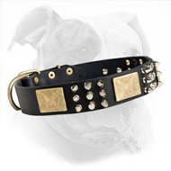 Fashion Leather Dog Collar with Nickel Spikes & Studs and Brass Plates for American Bulldog