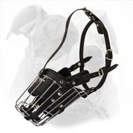 'No Mash' Leather Padded Wire Cage Muzzle for Walking and Training Your American Bulldog