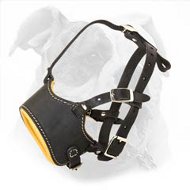 Best Every Day Walking and Training Leather Muzzle with Open Nose Design