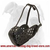 American Bulldog Agitation/Attack Training Muzzle