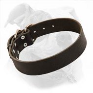 Best to Fit American Bulldog Leather Collar