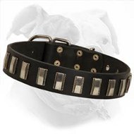 Luxurious Daily Walking and Training Collar for American Bulldog