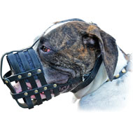 Muzzle for American Bulldog and English Bulldog – CollarDirect