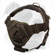 New Design Nylon Harness with Chest Plate - Safe and Comfortable Activity for American Bulldog