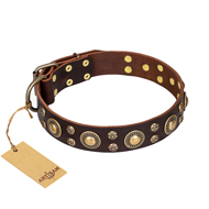 'Flower Melody' American Bulldog FDT Artisan Brown Leather Dog Collar with Mixed Studs
