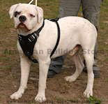 American bulldog harness,leather dog harness with handle, nylon dog harness with handle for dog training, walking dog harness,k9 harness