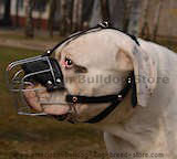 Wire basket dog muzzle,best dog muzzle,big dog muzzles for American Bulldogs