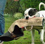 bite sleeve , Bite Protection Sleeve , Dog bite developer cuff