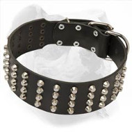 Wide Studded Leather American Bulldog Collar Wide Studded Leather American Bulldog Collar