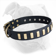 Decorated with Plates Leather American Bulldog Collar for Daily Walking