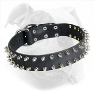 Leather American Bulldog Collar with 2 Rows of Nickel Spikes for Walking in Style