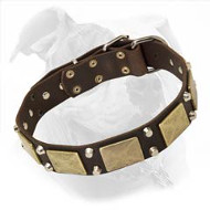 Fashion Leather Dog Collar with Large Plates and Pyramids for American Bulldog Walking Fashion Leather Dog Collar with Large Plates and Pyramids for American Bulldog Walking