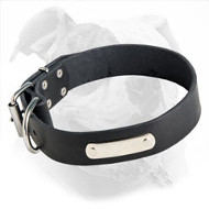 Identification Leather American Bulldog Collar for Walking and Training Identification Leather American Bulldog Collar for Walking and Training