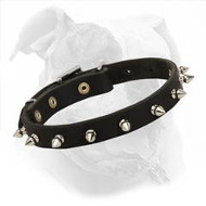 Elegant Spiked Leather American Bulldog Collar for Daily Walking Elegant Spiked Leather American Bulldog Collar for Daily Walking